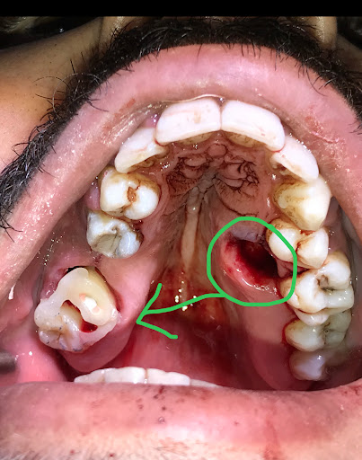 AuDENTAL Ağız ve Diş sağlığı polikliniği