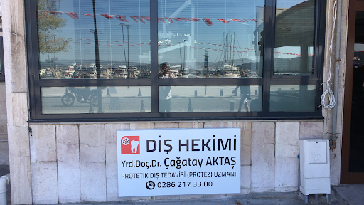 Diş Hekimi Dr.Öğretim Üyesi Çağatay AKTAŞ Protetik Diş Tedavisi (Protez) Uzmanı