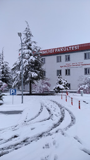 Erciyes University Faculty of Dentistry